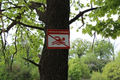 Запрещающий знак "Купаться запрещено"